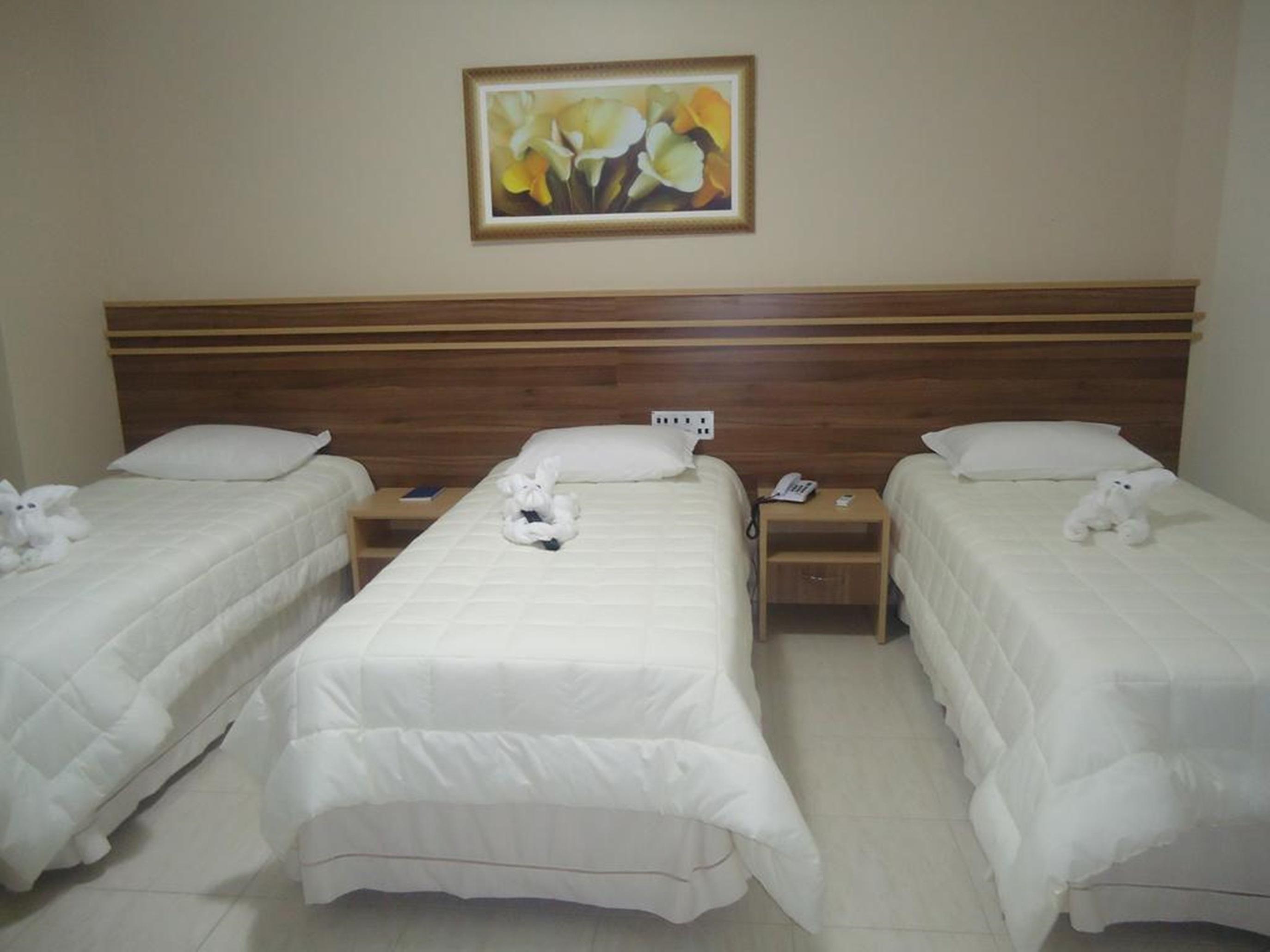 Hotel Dom Baroni Guarapuava Extérieur photo