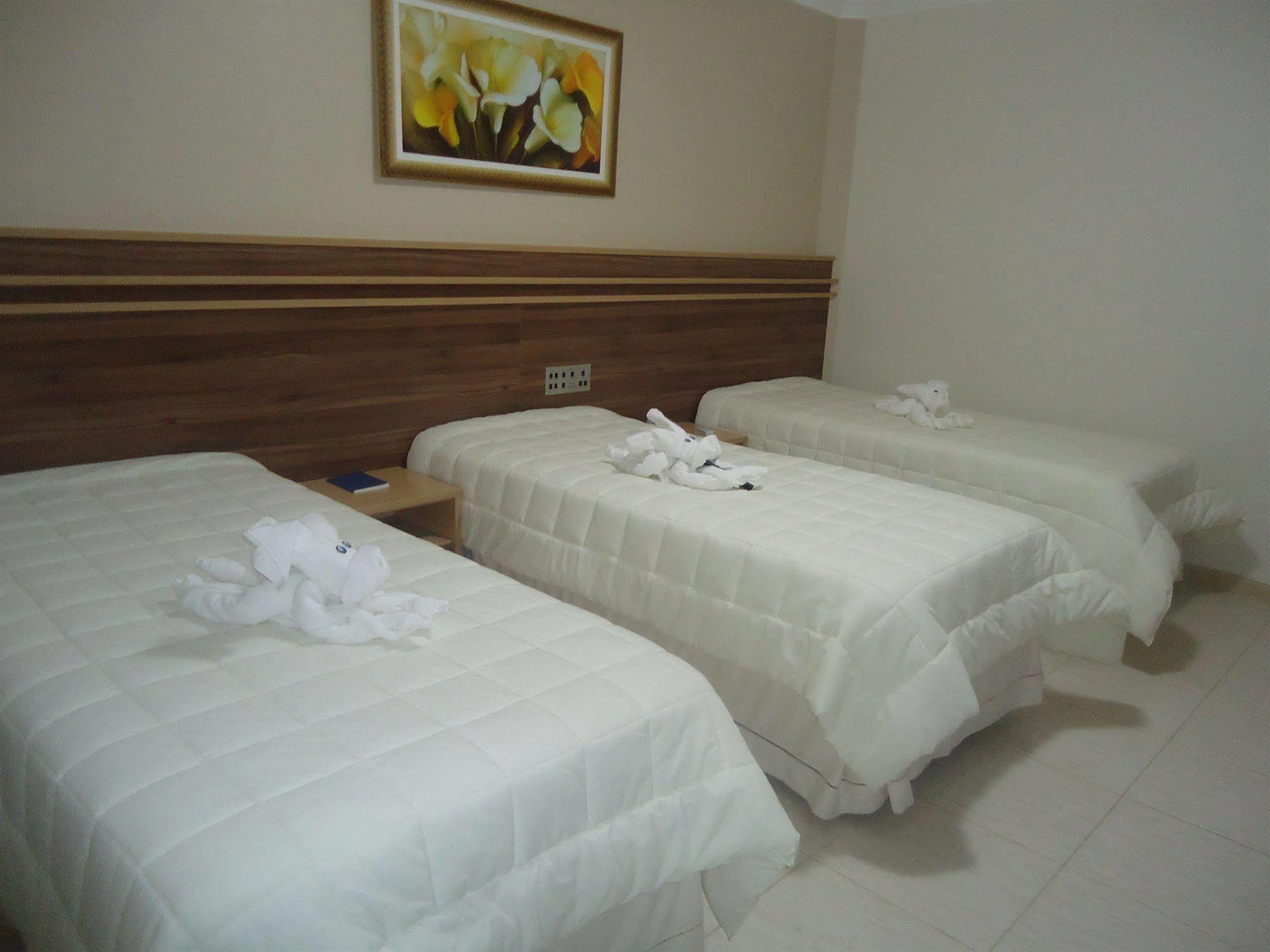Hotel Dom Baroni Guarapuava Extérieur photo